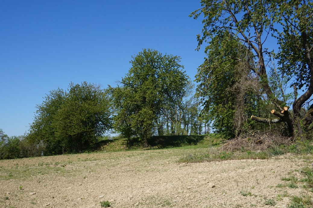 Schacht XV mit Plateau-Halde