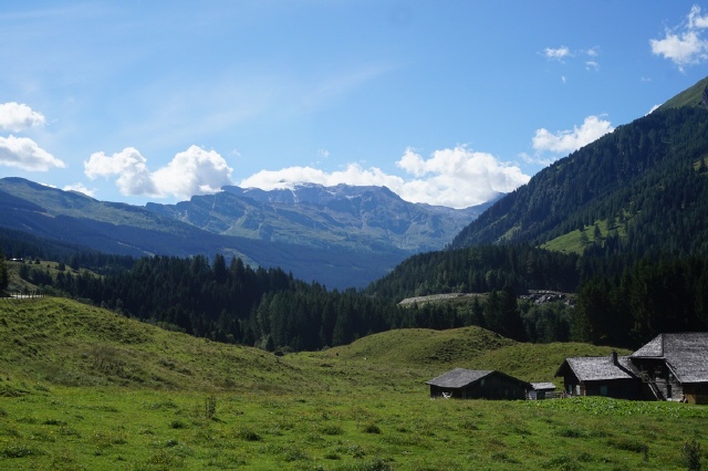 Kaisererbruch (Lohninger Söllerlwald)